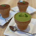 サクラ テーブル - 植木鉢ティラミス【珈琲・抹茶】