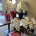 とんかつ 蒼樹 - 