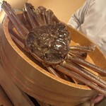 赤坂 きた福 - 福井 越前ガニ