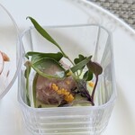 シェフズ ライブ キッチン - マグロとアボカドのタルタル