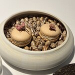 ラ・ヴァガボンド - 