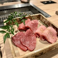 八面六秘 - 