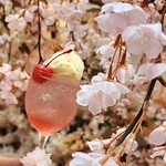 HAUTE COUTURE CAFE OMOTESANDO - 