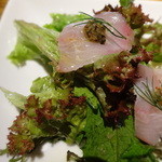 タケル クインディチ - 前菜盛り合わせ・イナダのカルパッチョサラダ
      