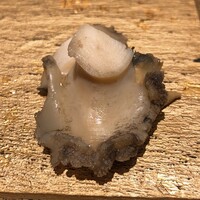 SUSHI TOKYO TEN、 新宿店 - 