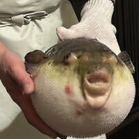 ふぐ御料理處 でん - 