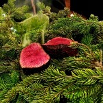 レストラン・モリエール - 