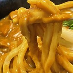本格手打うどん あらた - 特製カレーうどん（麺）