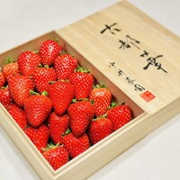 スガラボヴィー - 