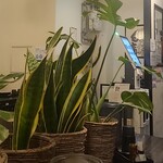 讃岐うどん 白庵 - 