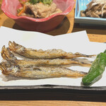 京のお晩菜処 六角や - ししゃも