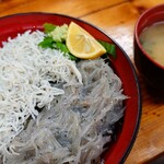 山武水産 - 二色しらす丼♪
