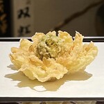 289241783 - 蕗の薹