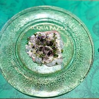 リストランテ アクアパッツァ - 