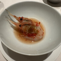 ミモザ - 
