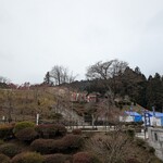 Ramen FeeL - 吉野梅郷、梅まつり開催中なのに人がいません