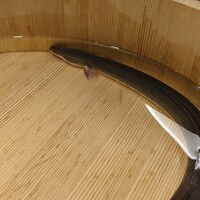 三宅輝 - 