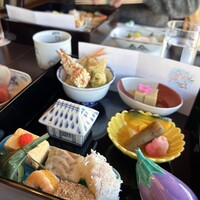 山茶花 - 