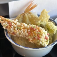山茶花 - 