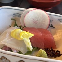 山茶花 - 