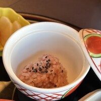 山茶花 - 