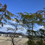 仁木家 お箸で食べる蕎麦とフレンチ - 