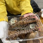 牡蠣小屋 住吉丸 - 