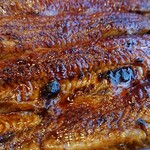 川京 - うーなーぎー♪