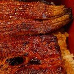 川京 - うなぎ♪接写