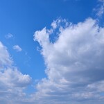 仁木家 お箸で食べる蕎麦とフレンチ - 