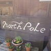 ノースポール