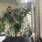 ライム ライト - 