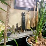 ライム ライト - 