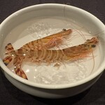 スーツァンレストラン陳 - 