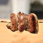 池下一鳥目 - はつ