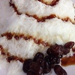 雪花の郷 - 褐色の大地