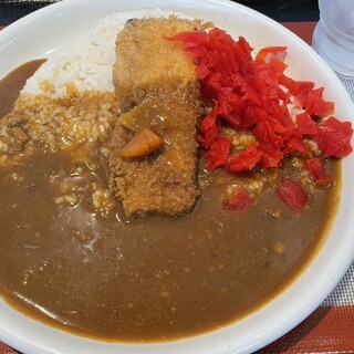 本家絶品! 煮込みカツカレーの店_1