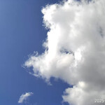 インデアンレストラン  ニューミラ - 