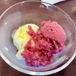 カフェ・イン・ザ・パーク - バニラとブルーベリーのアイスクリーム