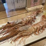 銀シャリ 原始焼き 食堂 ロビン - 