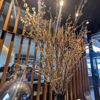 マーサーブランチ テラスハウス - 