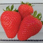 花立山ファーム - いちご