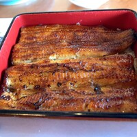 鰻割烹 伊豆栄 本店 - 