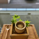 茶房　わらび野 - 