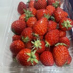 石橋いちご園 - 