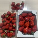 石橋いちご園 - 