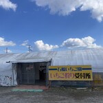 石橋いちご園 - 