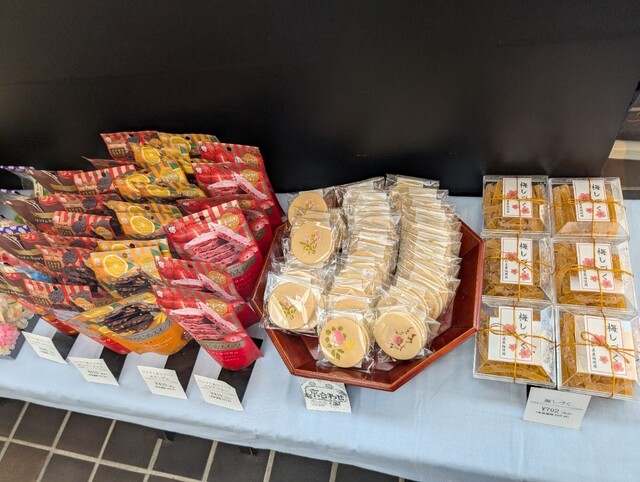 松栄堂 総本店（ショウエイドウ） - 一ノ関（和菓子）の写真