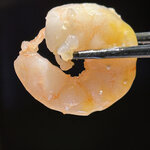 尾崎牛と直送海鮮 個室居酒屋 しおり - 