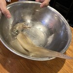 大衆居酒屋魚さんこ - ◆活いか刺（ヤリイカ）（1,980円）